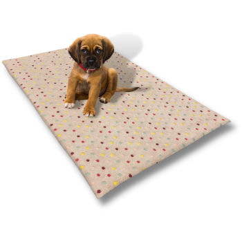 Topmast Kissen für Hunde Teddy Fleece - Colorfull Dots