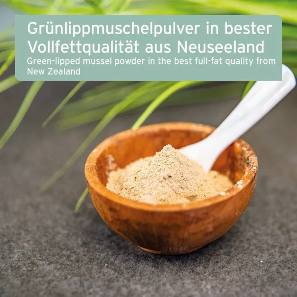 Grünlippmuschel Pulver Nahrungsergänzungsmittel